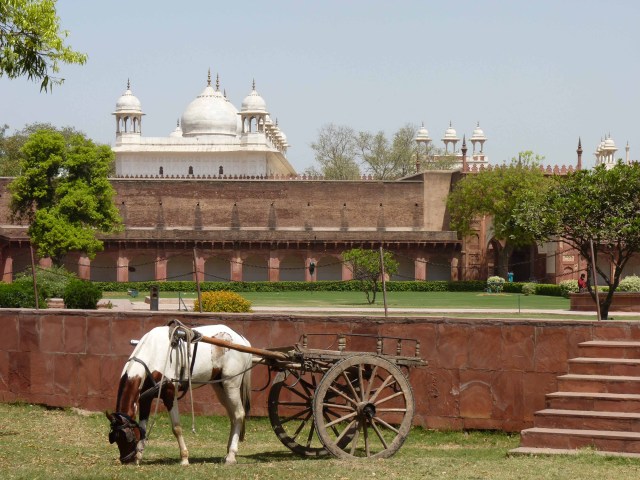 red fort - aggra