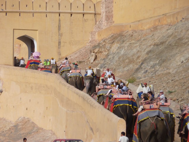 The elephant route up to the Amber Fort.