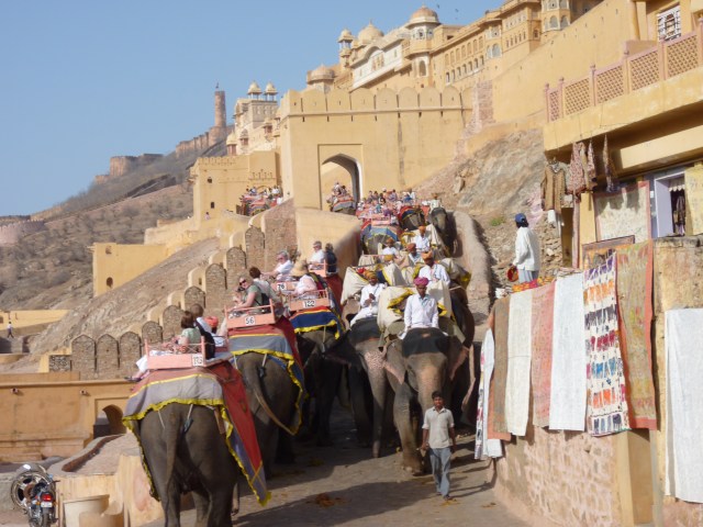 The elephant route up to The Amber Fort.