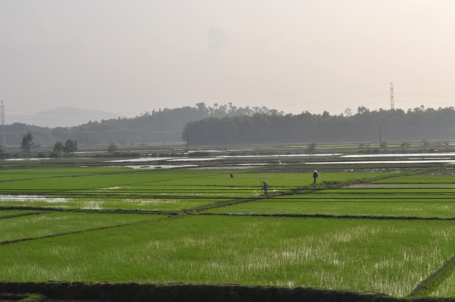 Murky wet views out of the carriage windows of Vietnam