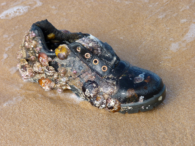 Old Shoe on Phu Quoc Beach