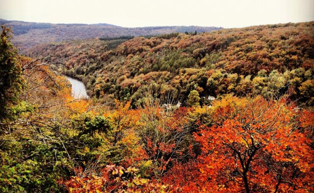 8135321311_b9f04c58f0_b