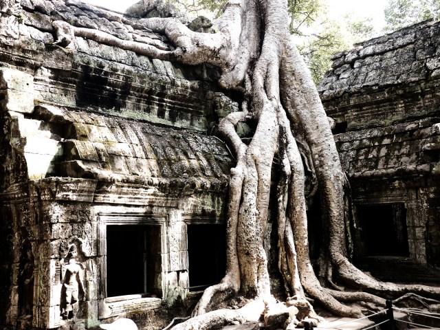 Ta Prohm Temple, Cambodia