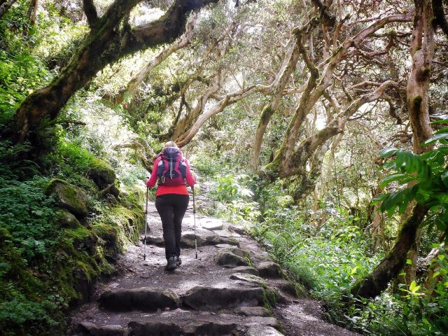 19862738989_c234f8e673_k