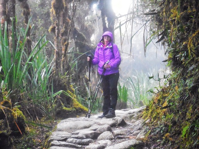 Beautiful cloud forests