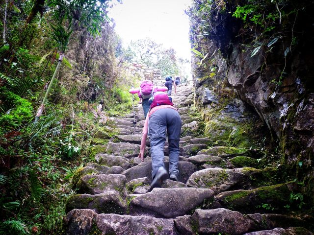 Steps to Inti Punku