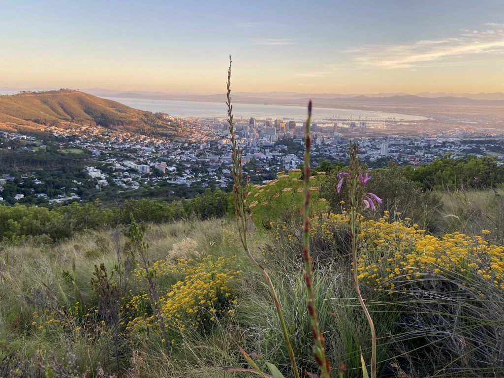 Cape Town at dawn