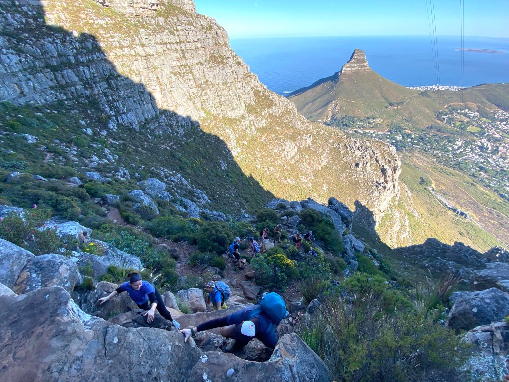 The Lion's Head behind us scrambling up Table Mountain