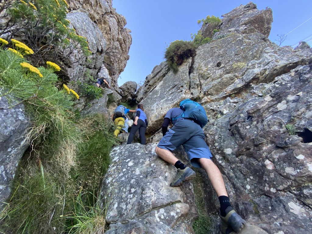 Scrambling section